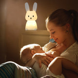 Luce notturna coniglio