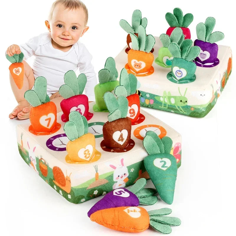 Jeu Montessori Bébé Récolte de Carottes