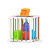 Montessori Sensory Sorting Toy