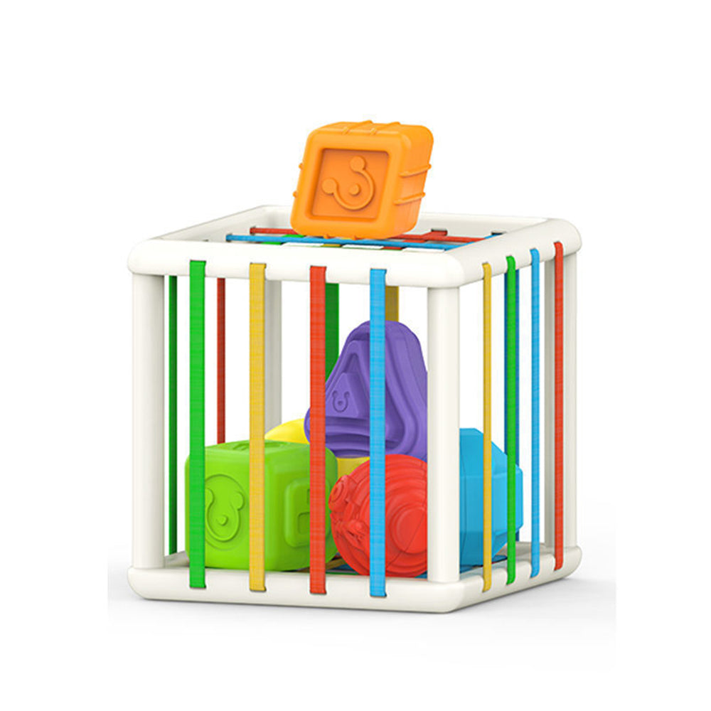 Montessori Sensory Sorting Toy