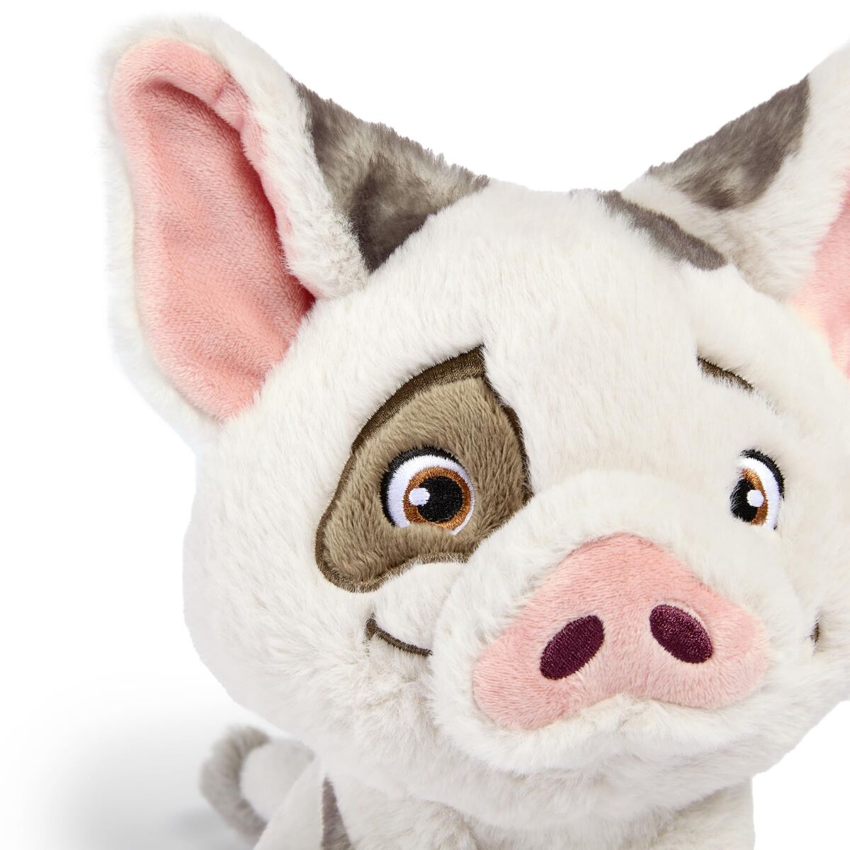 V2H4A3B1E095D8058F4DB0B1CD904F931A6R7741383P2