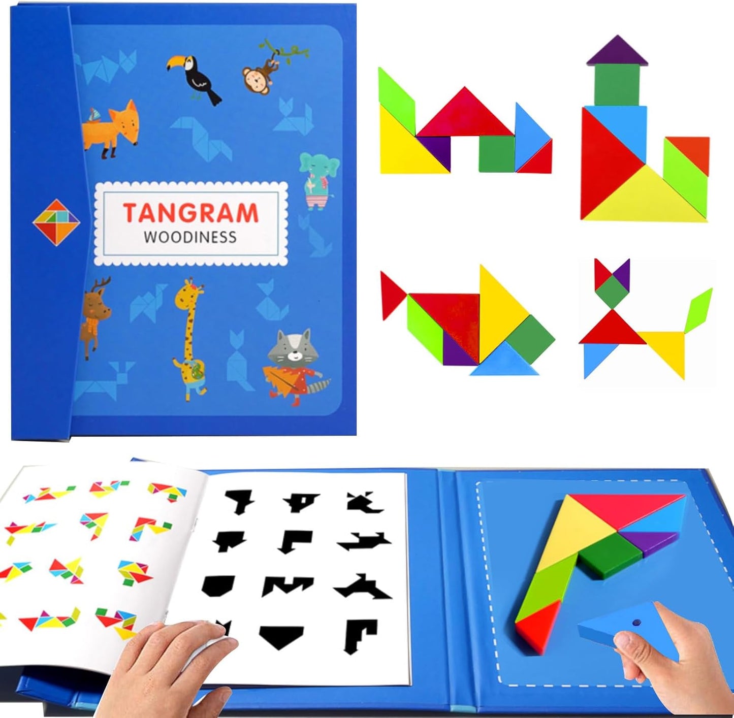 Tangram Magnetico per Bambini