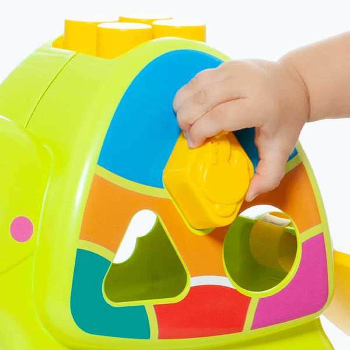 Moltó Interactive Toy 57 x 27.5 x 97 cm Turtle 12 Pieces