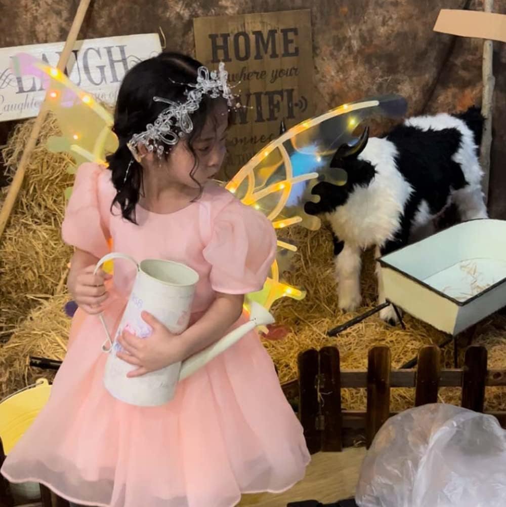 Ailes de papillon Lumineuses pour Filles