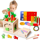 Boîte de Permanence de L'objet Montessori 8 en 1
