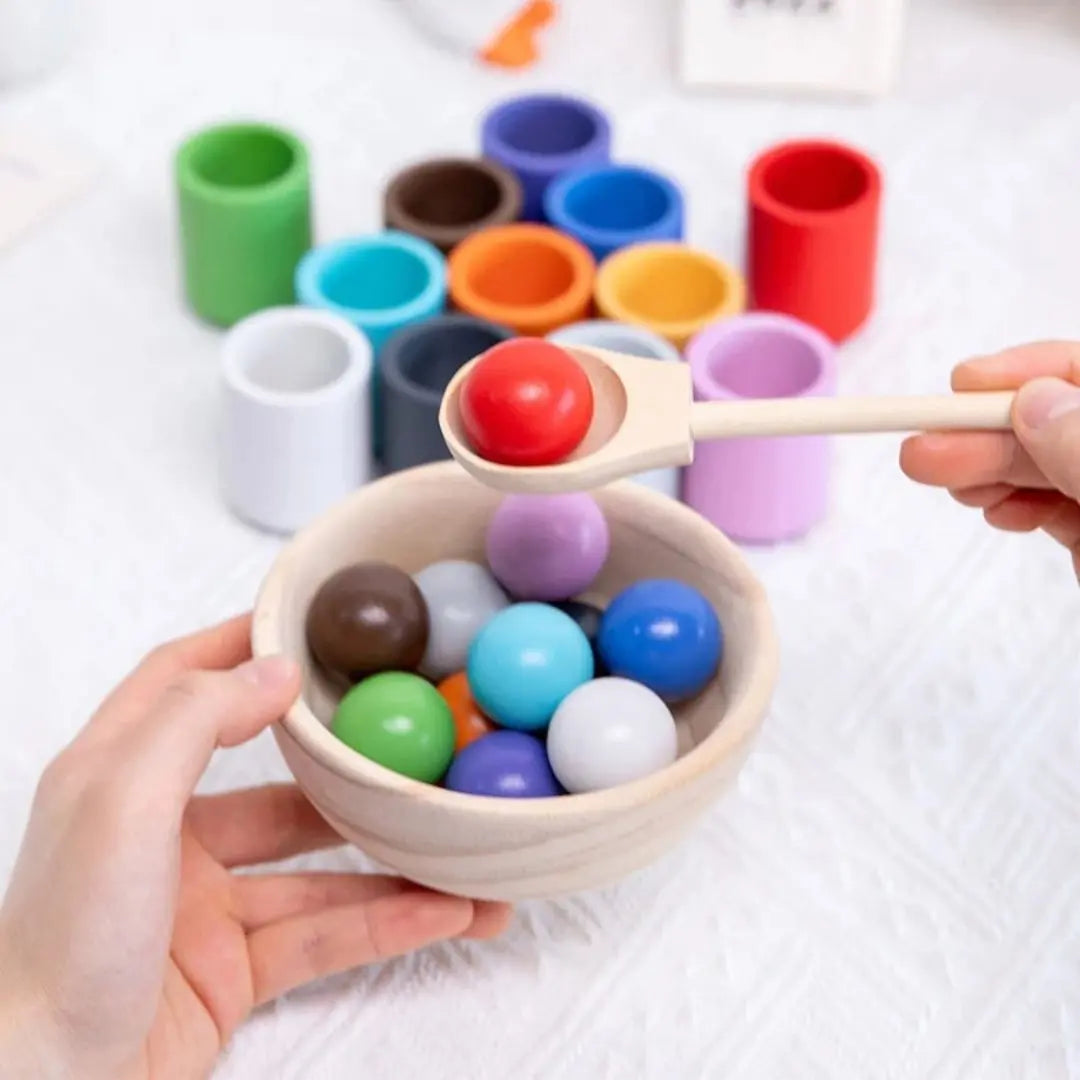 Montessori Balls and Cups - ColorMatch™
