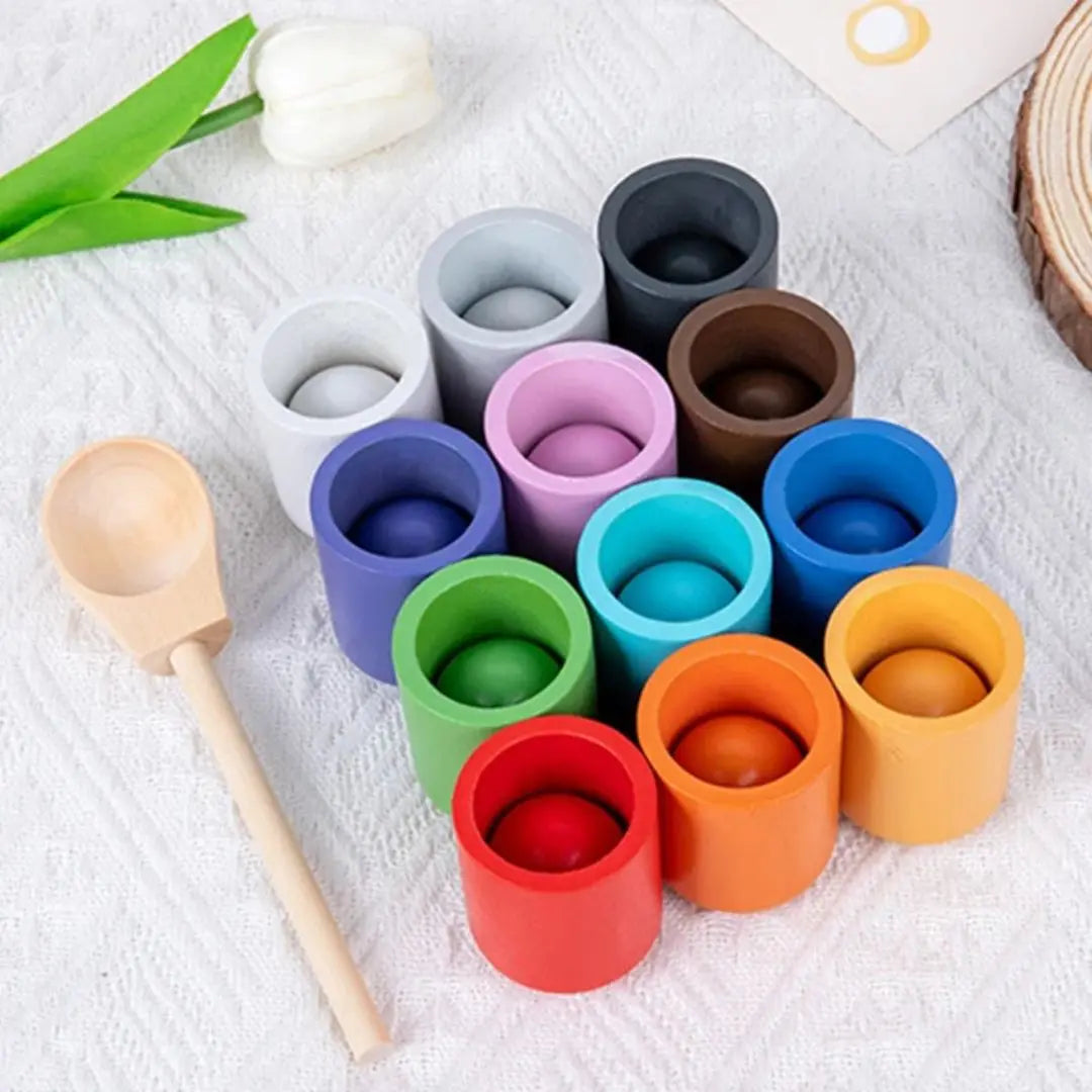 Montessori Balls and Cups - ColorMatch™
