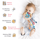 babycool™ - Gioco per la dentizione 3 in 1, lenitivo e sensoriale, per neonati