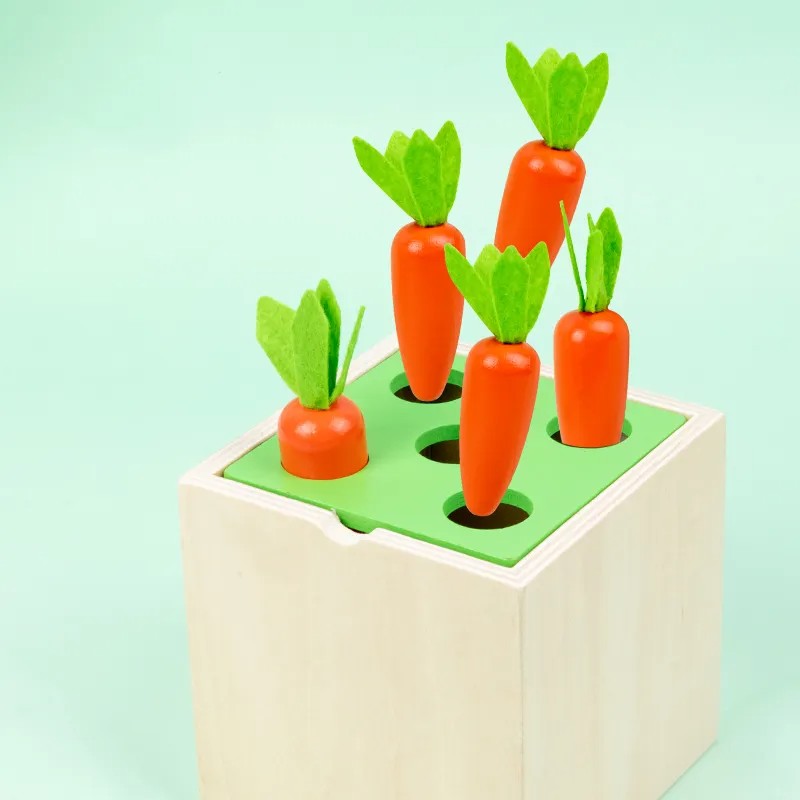 Scatola Montessori della Permanenza dell'Oggetto