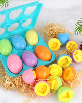 Jouet Oeufs Montessori