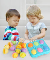 Jouet Oeufs Montessori