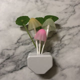 Veilleuse Champignon