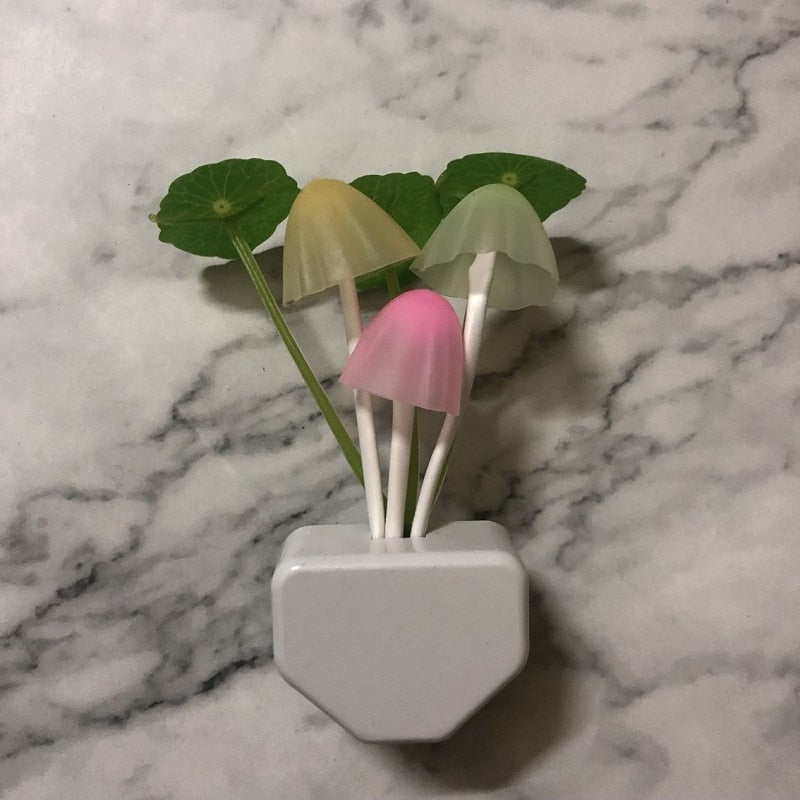 Veilleuse Champignon