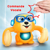Pack Jungle Musicale