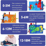 Baby English Learning Cloth Book