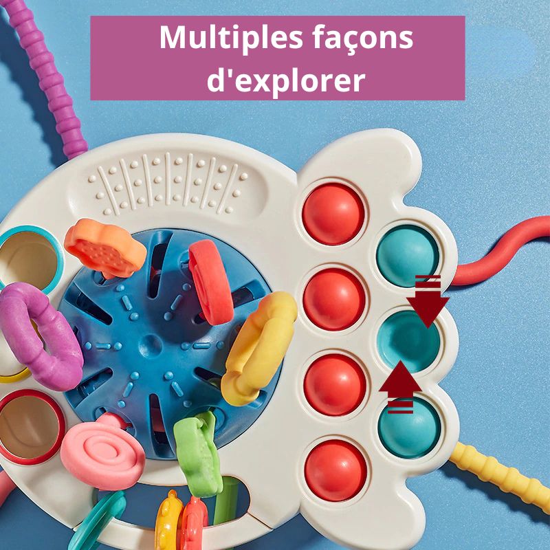 Giocattolo sensoriale Montessori per lo sviluppo del bambino