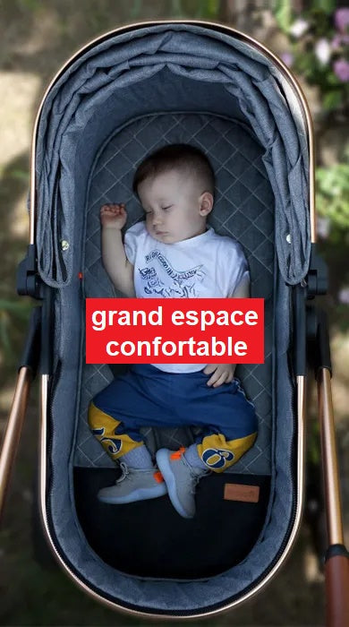 Passeggino 3 in 1 per neonati
