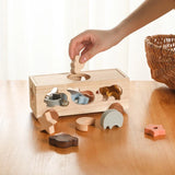 Scatola di selezione Montessori