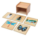Cabinet de Zoologie Montessori