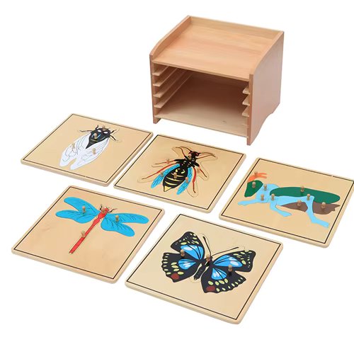 Cabinet de Zoologie Montessori