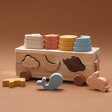 Scatola di selezione Montessori