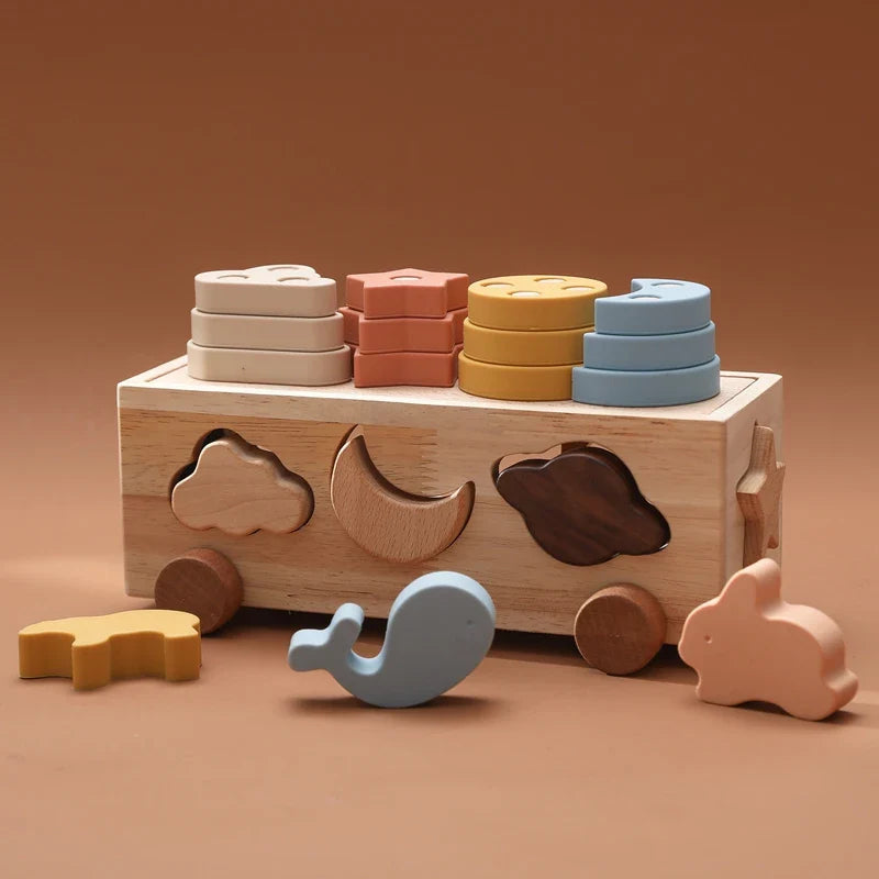Scatola di selezione Montessori