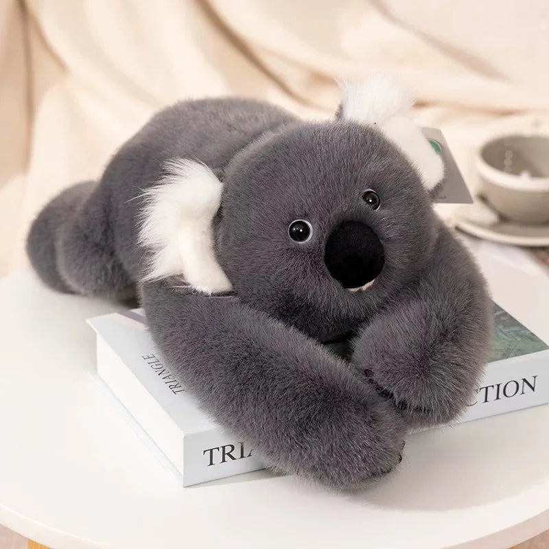 Coussin peluche à longs bras (60-65 cm) – koala, panda, paresseux, dinosaure et plus