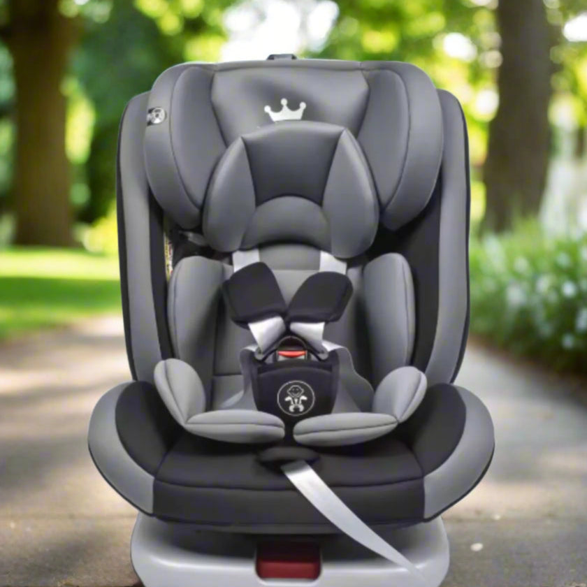 Convertible car seat | FlexFit