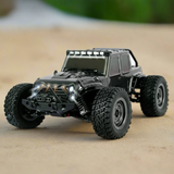 Automobile da corsa telecomandata/Racerino