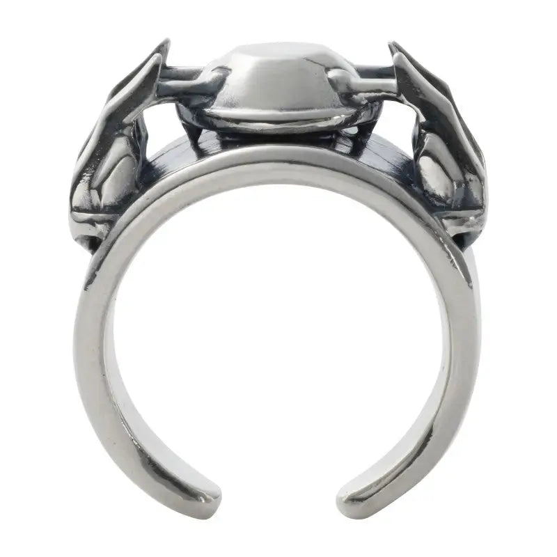 Pokémon Blastoise Metagross Ring
