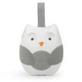 La Boîte à Musique Hibou Endormi pour Chevet | Apaiseur de Berceau Portable