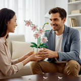 Orchid Building Blocks