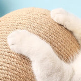 Cat Scratch Ball
