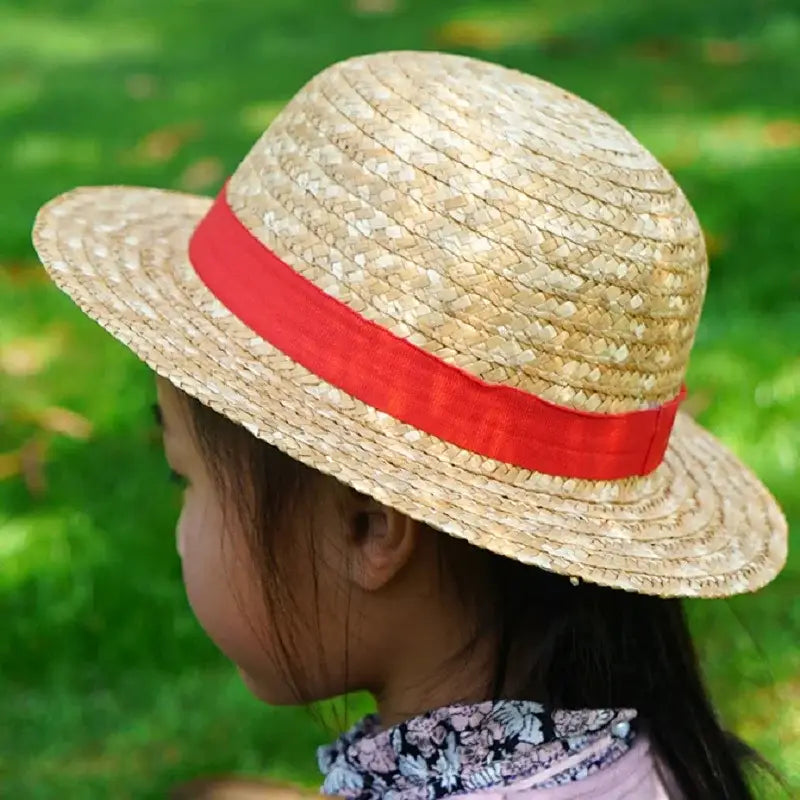 Luffy's Straw Hats