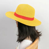 Luffy's Straw Hats