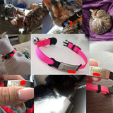 Customizable Engravable Cat Collar