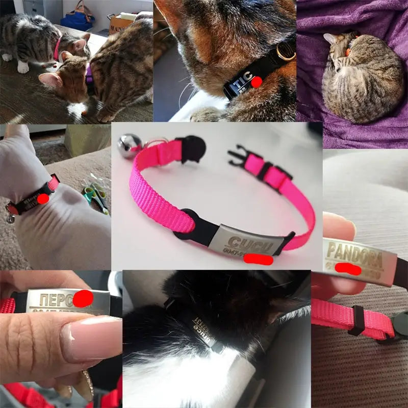 Customizable Engravable Cat Collar