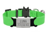 Collier à graver personnalisé pour chat en vert brillant avec plaque argentée gravée luna et numéro de téléphone