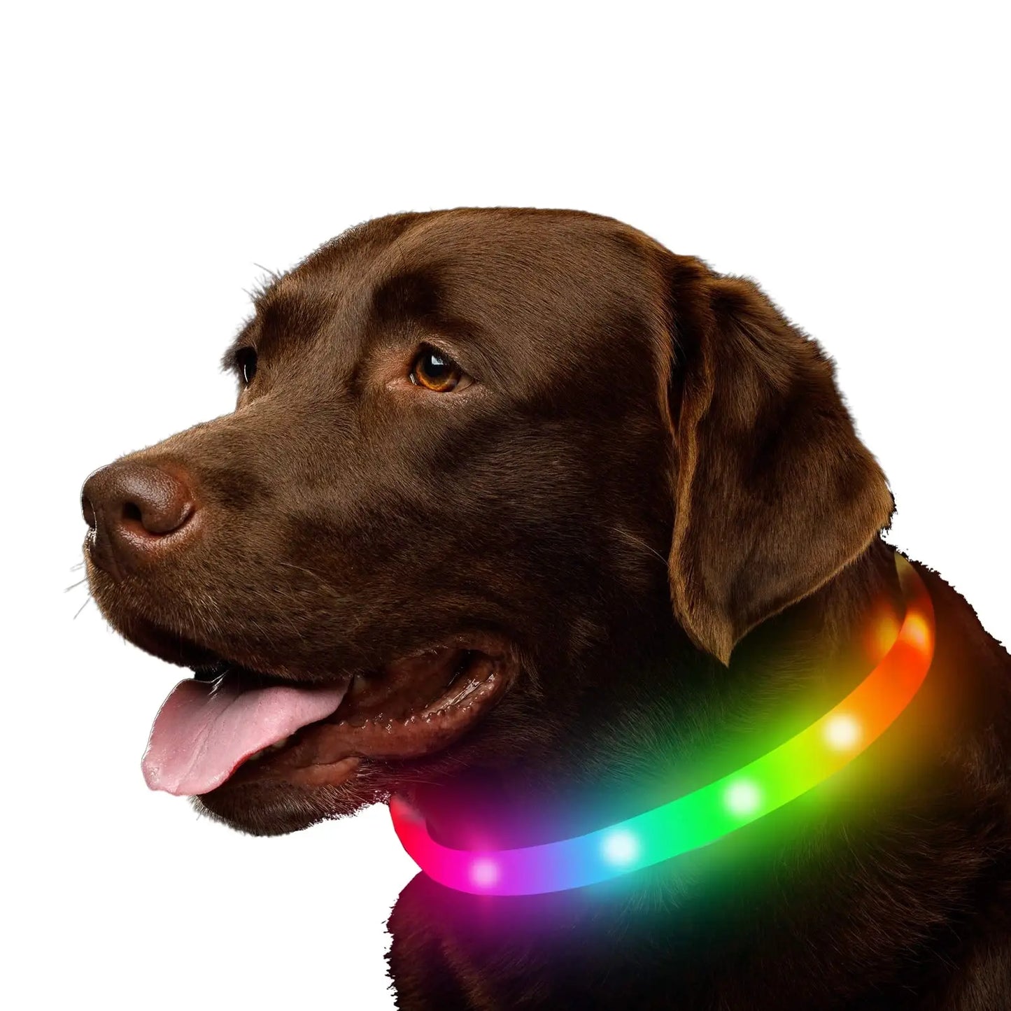 Rechargeable Silicone LED Dog Collar