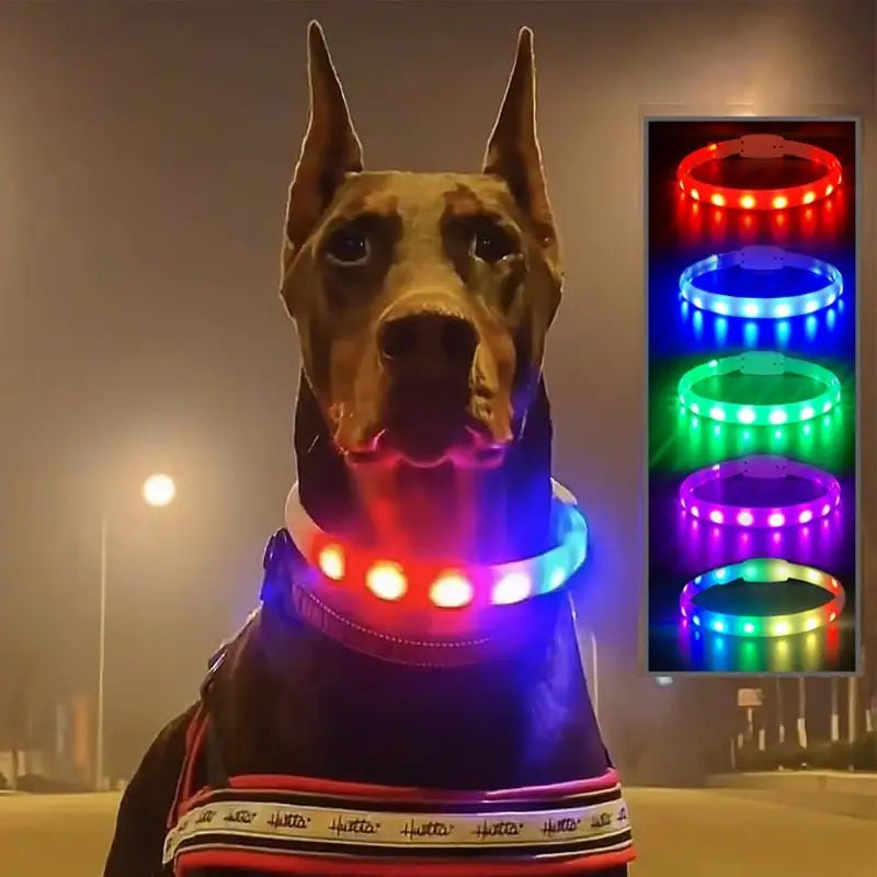 Rechargeable Silicone LED Dog Collar