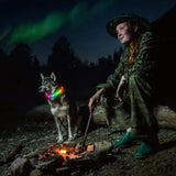 Rechargeable Silicone LED Dog Collar