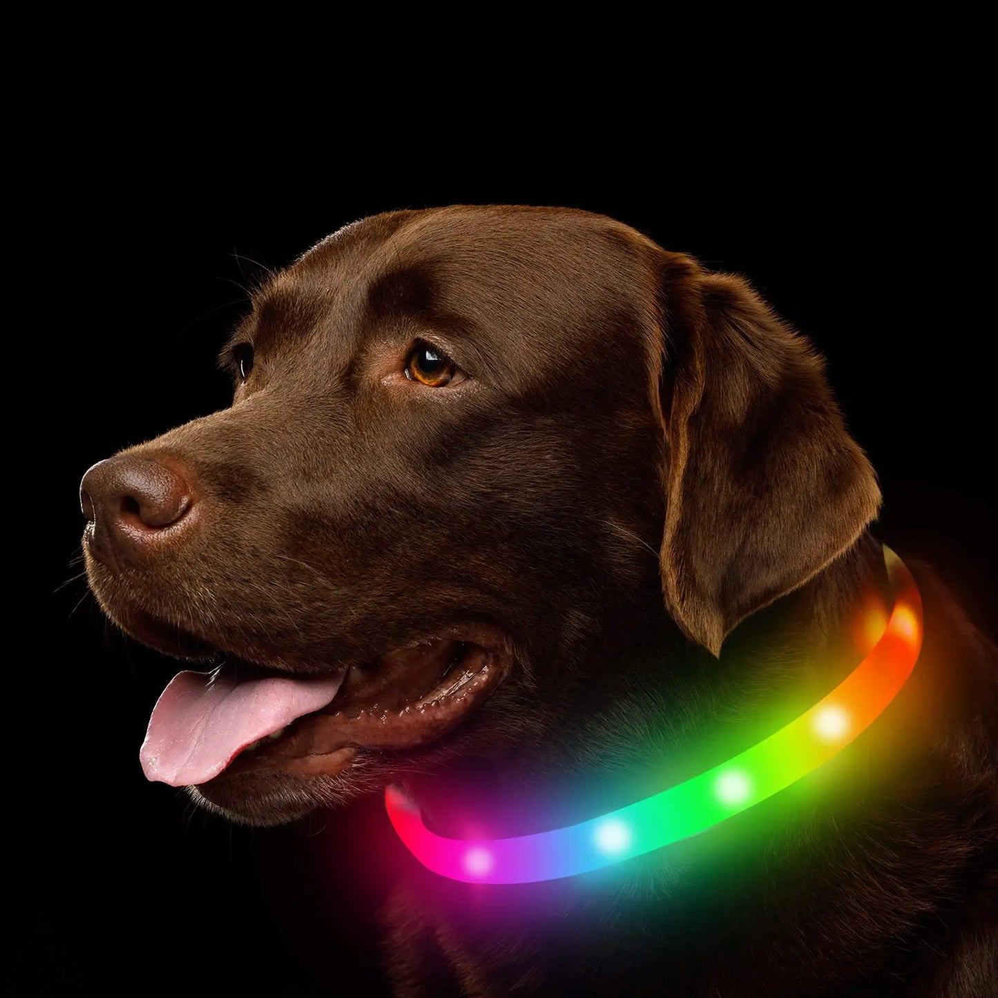 Rechargeable Silicone LED Dog Collar