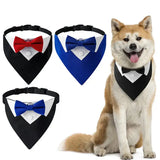 Dog bow tie costume collar