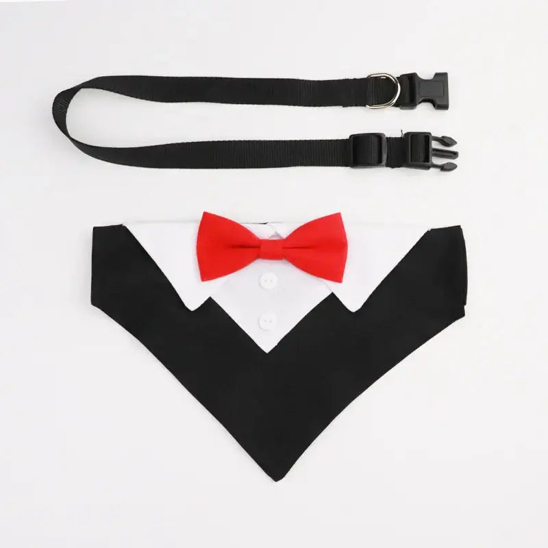 Dog bow tie costume collar