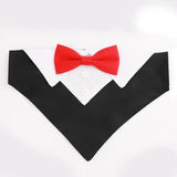 Dog bow tie costume collar