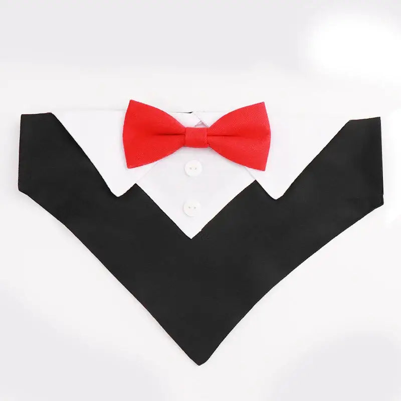 Dog bow tie costume collar