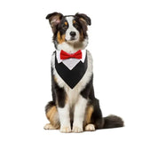 Dog bow tie costume collar