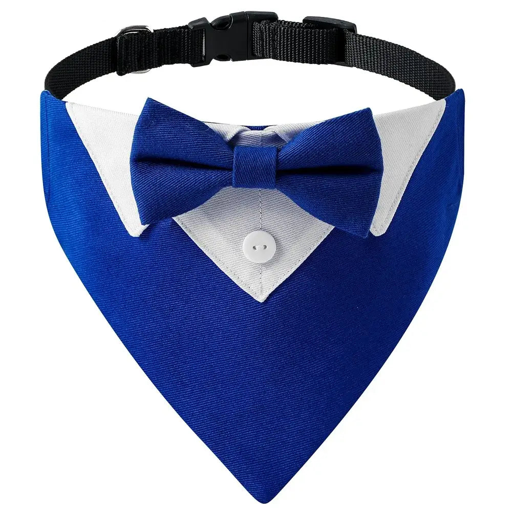 Collier costume noeud papillon pour chien bleu royal avec col blanc et noeud papillon formel style tuxedo