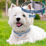 Rhinestone Diamond Dog Collar