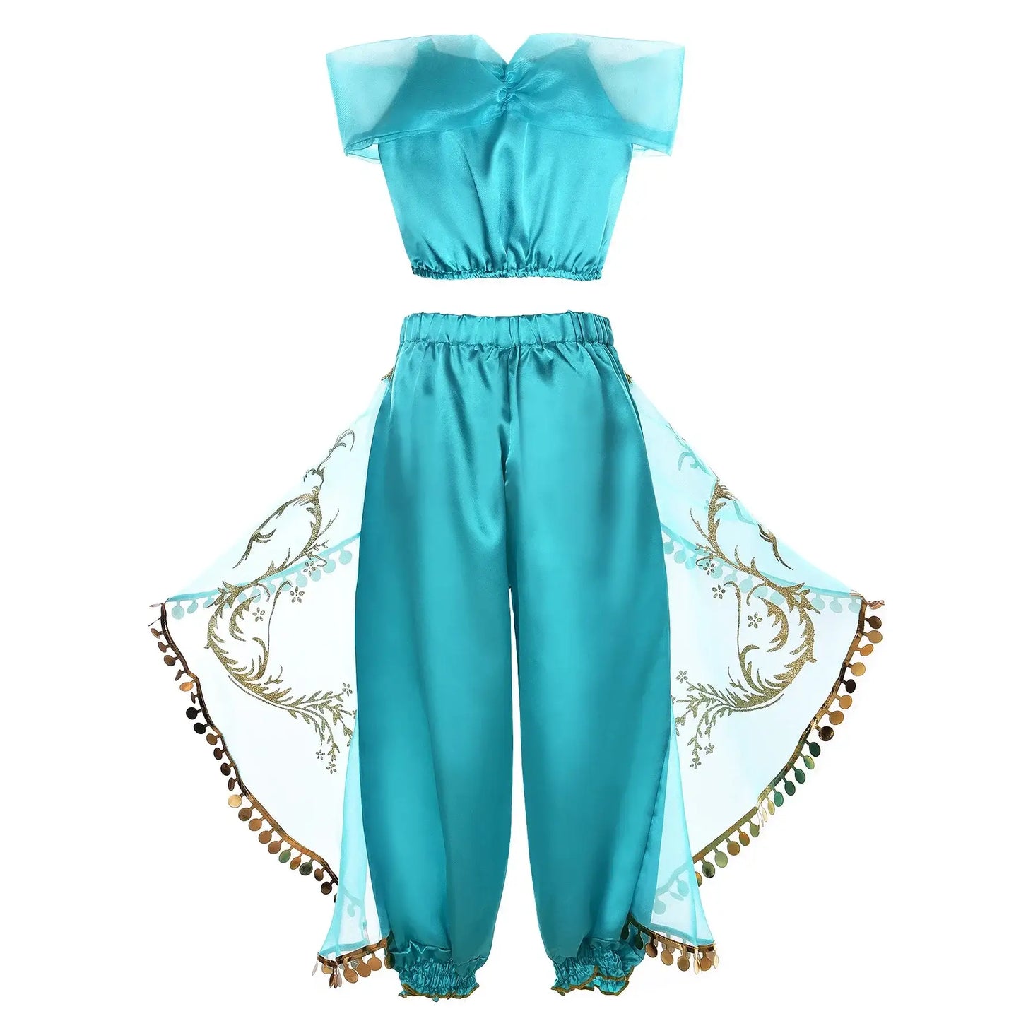 Disney Princess Jasmine Costume